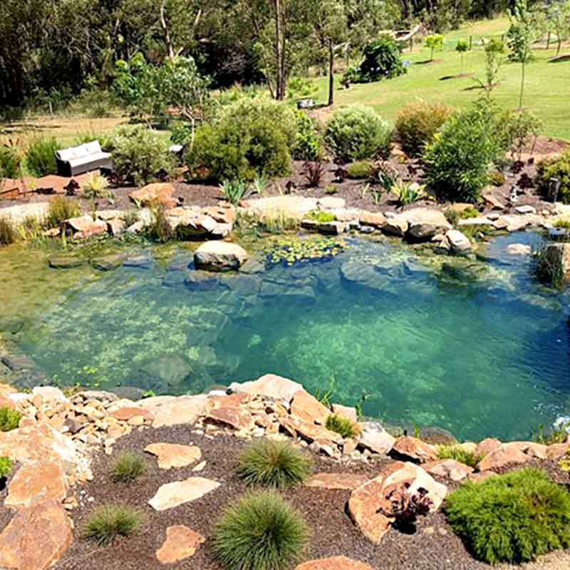 Pool to Pond Conversion - Ledman Lagoons