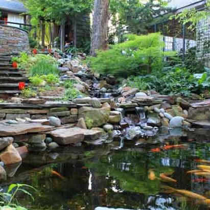 services-koi-pond